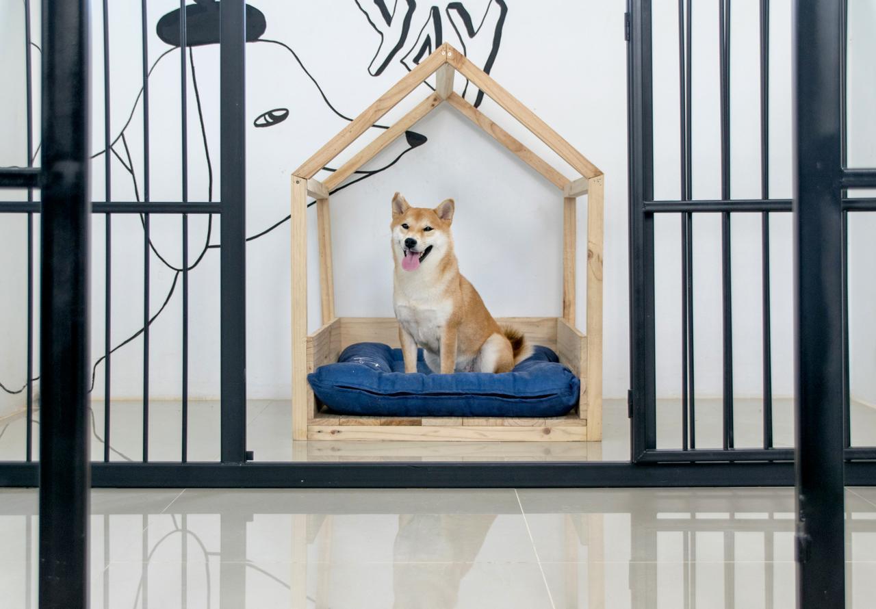 Pawtel Mae Rim Exterior foto